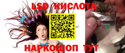 МДПВ Новодвинск