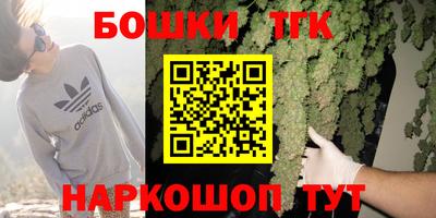 МДПВ Новодвинск
