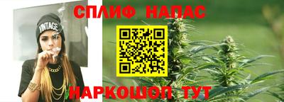 МДПВ Новодвинск