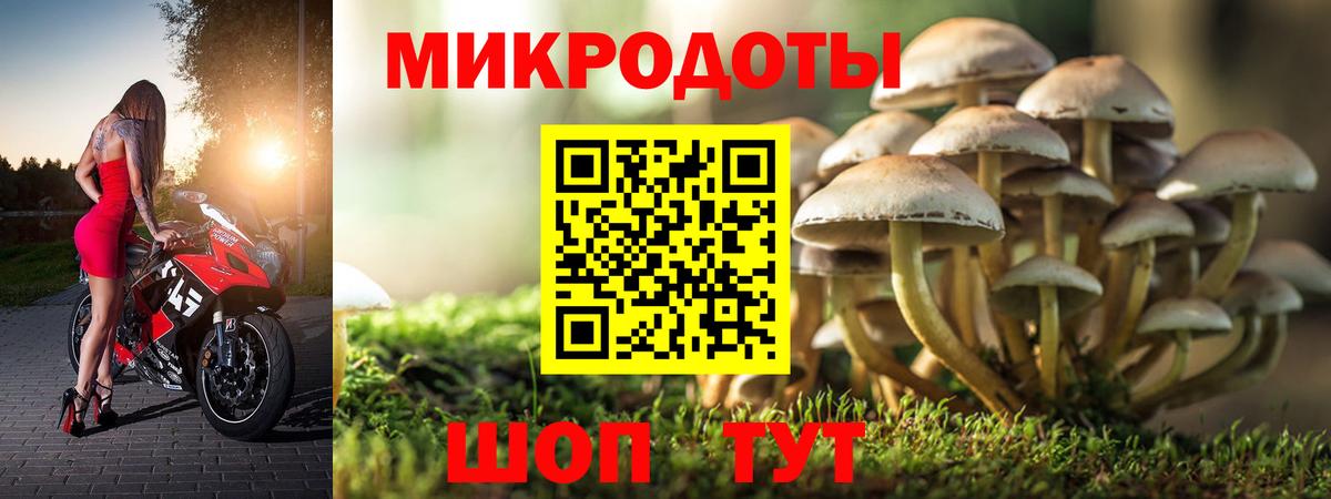 Галлюциногенные грибы GOLDEN TEACHER  Вход с VPN  Юрга  Галлюциногенные грибы мухоморы 